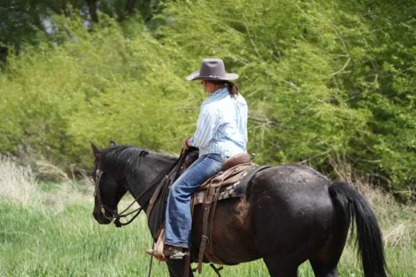 Guided Horseback, Fly Fishing & Sleigh Rides Near Park City | Rocky Mountain Outfitters