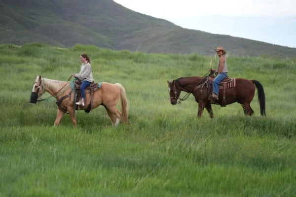 Guided Horseback, Fly Fishing & Sleigh Rides Near Park City | Rocky Mountain Outfitters