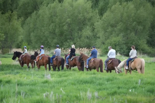 Guided Horseback, Fly Fishing & Sleigh Rides Near Park City | Rocky Mountain Outfitters