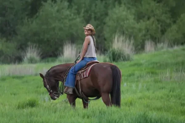 Guided Horseback, Fly Fishing & Sleigh Rides Near Park City | Rocky Mountain Outfitters