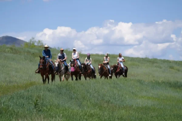 Guided Horseback, Fly Fishing & Sleigh Rides Near Park City | Rocky Mountain Outfitters