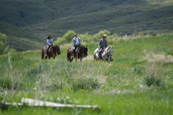 Guided Horseback, Fly Fishing & Sleigh Rides Near Park City | Rocky Mountain Outfitters