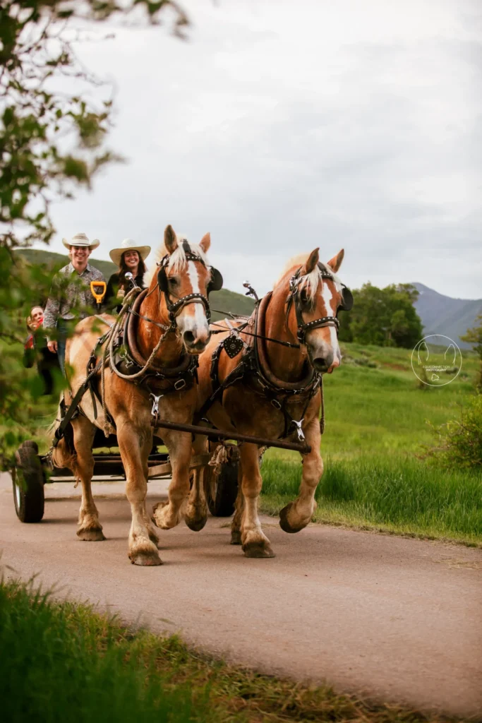 Horseback Riding in Midway, UT