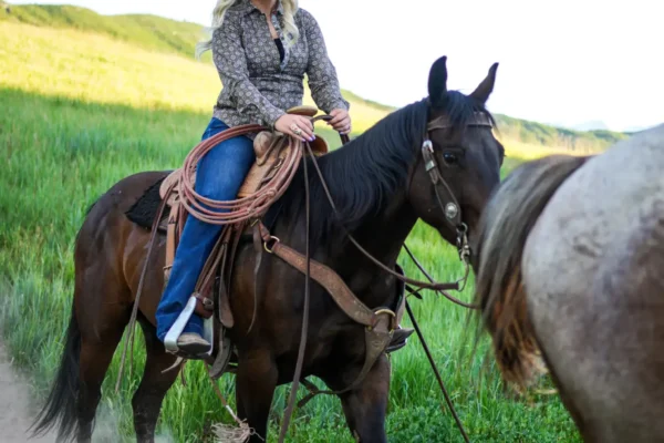 Guided Horseback, Fly Fishing & Sleigh Rides Near Park City | Rocky Mountain Outfitters