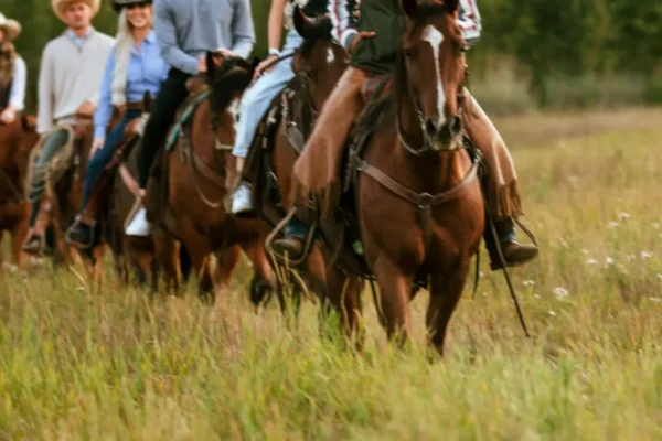Guided Horseback, Fly Fishing & Sleigh Rides Near Park City | Rocky Mountain Outfitters