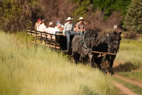 Guided Horseback, Fly Fishing & Sleigh Rides Near Park City | Rocky Mountain Outfitters