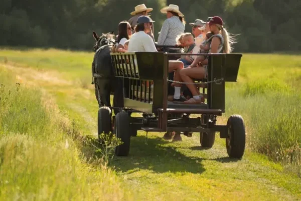 Guided Horseback, Fly Fishing & Sleigh Rides Near Park City | Rocky Mountain Outfitters