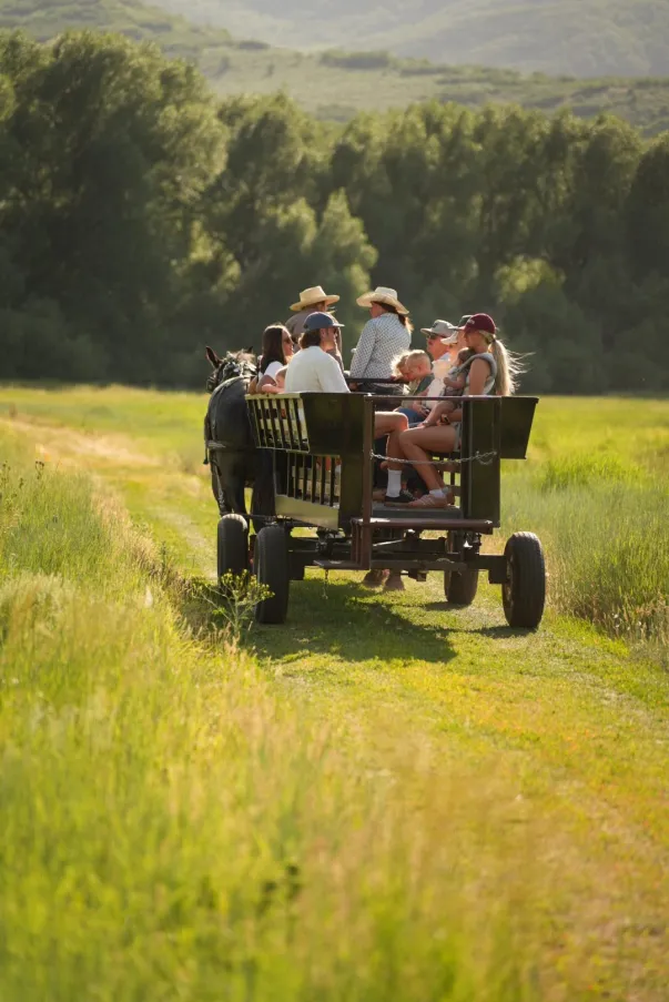 Horseback Riding in Midway, UT