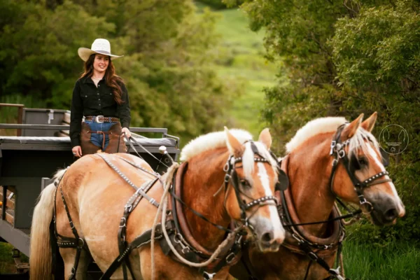 Guided Horseback, Fly Fishing & Sleigh Rides Near Park City | Rocky Mountain Outfitters