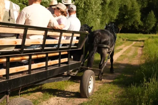 Guided Horseback, Fly Fishing & Sleigh Rides Near Park City | Rocky Mountain Outfitters